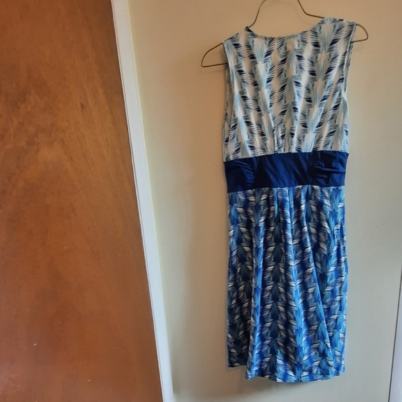 Patagonia Margot Dress Sleeveless Blue and White Size Small - Picture 9 of 12